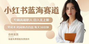 小红书蓝海赛道，圈中高端职场人，月入无上限，可矩阵，内含私域实操教程!-甬战资源库