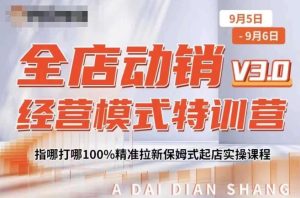 全店动销经营模式特训营，指哪打哪100%精准拉新保姆式起店实操课程-甬战资源库