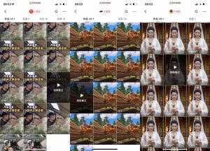 狗熊岭快手连怼技术，好物，涨粉都可以连怼-甬战资源库