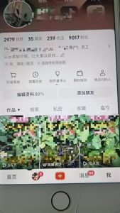 最新抖音暴力起万粉技术，一天涨万粉，发三四个作品涨近万粉-甬战资源库