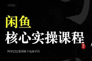 2024闲鱼核心实操课程,从养号、选品、发布、销售,教你做一个出单的闲鱼号-甬战资源库