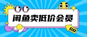 外面收费998的闲鱼低价充值会员搬砖玩法号称日入200+-甬战资源库
