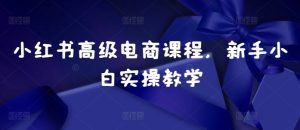 小红书高级电商课程，新手小白实操教学-甬战资源库
