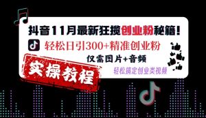 抖音11月最新狂揽创业粉秘籍，轻松日引300+精准创业粉，仅需图片+音频，轻松搞定创业类视频-甬战资源库