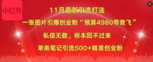 小红书11月最新图片打粉,一张图片引爆创业粉,“预算4980带我飞”,单条引流500+精准创业粉-甬战资源库