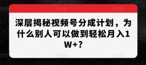 深层揭秘视频号分成计划,为什么别人可以做到轻松月入1W+?-甬战资源库