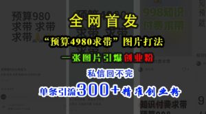 小红书“预算4980带我飞”图片打法,一张图片引爆创业粉,私信回不完,单条引流300+精准创业粉-甬战资源库