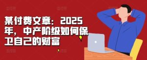某付费文章：2025年，中产阶级如何保卫自己的财富-甬战资源库