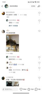 小红书私人定制图项目,附赠一单4W渠道【揭秘】-甬战资源库