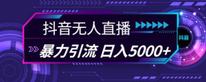 抖音快手视频号全平台通用无人直播引流法,利用图片模板和语音话术,暴力日引流100+创业粉【揭秘】-甬战资源库