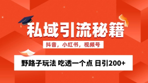 私域流量的精准化获客方法 野路子玩法 吃透一个点 日引200+ 【揭秘】-甬战资源库