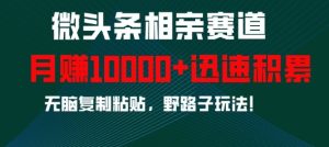 微头条相亲赛道,迅速积累,无脑复制粘贴,野路子玩法,月入1w-甬战资源库