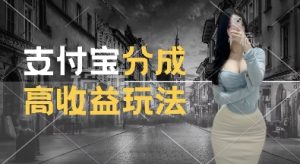 支付宝分成计划新玩法,利用交通事故视频,赚收益,轻松月入过W,操作简单【揭秘】-甬战资源库