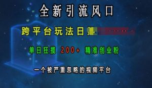 全新引流风口,跨平台玩法日入上k,单日狂揽200+精准创业粉,一个被严重忽略的视频平台-甬战资源库