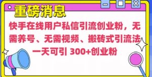 快手最新引流创业粉方法，无需养号、无需视频、搬砖式引流法【揭秘】-甬战资源库