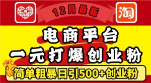 12月最新:电商平台1元打爆创业粉,简单粗暴日引500+精准创业粉,轻松月入过W【揭秘】-甬战资源库