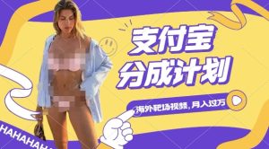 利用海外靶场射击视频，挣支付宝分成收益，轻松月入过W【揭秘】-甬战资源库