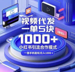 视频代发，一单5块，小红书引流合作模式，一部手机轻松日入多张【揭秘】-甬战资源库