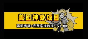 美团神券神会员_入门级教程，外卖券膨胀推广项目【全网首发，全新蓝海】-甬战资源库