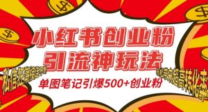 小红书创业粉引流神玩法,单图笔记引爆500+精准创业粉丝,私信狂潮接连不断-甬战资源库