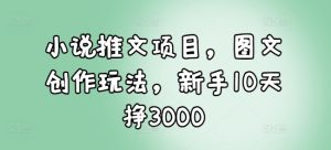 小说推文项目，图文创作玩法，新手10天挣3000-甬战资源库