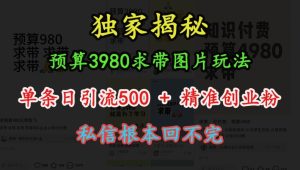 预算3980求带 图片玩法，单条日引流500+精准创业粉，私信根本回不完-甬战资源库