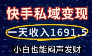 一天收入1691.5,快手私域变现,小白也能闷声发财-甬战资源库