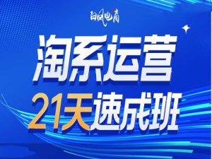淘系运营21天速成班35期,年前最后一波和2025方向-甬战资源库
