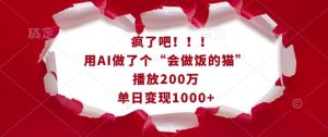 疯了吧!用AI做了个“会做饭的猫”,播放200万,单日变现1k-甬战资源库
