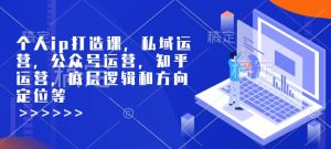 个人ip打造课,私域运营,公众号运营,知乎运营,底层逻辑和方向定位等-甬战资源库
