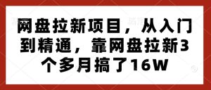 网盘拉新项目，从入门到精通，靠网盘拉新3个多月搞了16W-甬战资源库