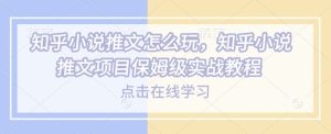 知乎小说推文怎么玩，知乎小说推文项目保姆级实战教程-甬战资源库