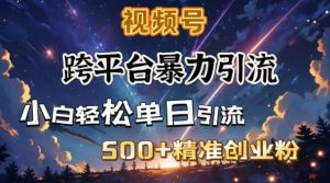 跨平台暴力引流，私域完美闭环，日引500+精准创业粉-甬战资源库