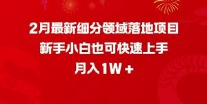 2月最新细分领域落地项目，新手小白也可快速上手，月入1W-甬战资源库