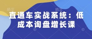 直通车实战系统：低成本询盘增长课，让个人通过技能实现升职加薪，让企业低成本获客，订单源源不断-甬战资源库