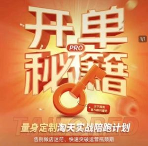 淘宝开单秘籍PRO，量身定制淘天实战陪跑计划，告别做店迷茫、快速突破运营瓶颈期-甬战资源库