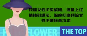 顶流女性IP实战班，流量上亿情绪引爆法，深度打磨顶流女性IP硬核基本功-甬战资源库