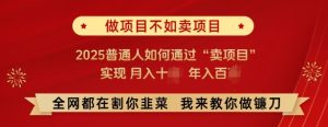 必看，做项目不如卖项目，2025普通人如何通过“卖项目”实现月入十个，年入百个-甬战资源库