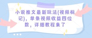 小说推文最新玩法(视频标记),单条视频收益四位数,详细教程来了-甬战资源库