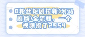 0粉丝短剧拉新(河马剧场)全流程，一个视频搞了2954-甬战资源库