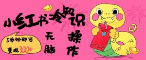小红书冷知识账号,无脑复制粘贴,5分钟即可变现3张-甬战资源库