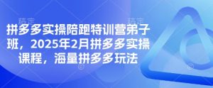 拼多多实操陪跑特训营弟子班,2025年2月拼多多实操课程,海量拼多多玩法-甬战资源库