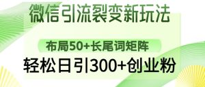 微信引流裂变新玩法：布局50+长尾词矩阵，轻松日引300+创业粉-甬战资源库