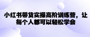 小红书带货实操高阶训练营,让每个人都可以轻松学会-甬战资源库