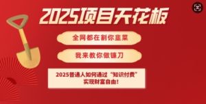 2025项目天花板普通人如何通过知识付费，实现财F自由【揭秘】-甬战资源库