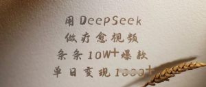 用DeepSeek做疗愈视频,条条10W+爆款,单日变现多张-甬战资源库