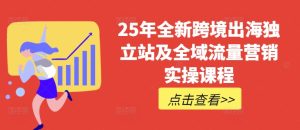 25年全新跨境出海独立站及全域流量营销实操课程，跨境电商独立站TIKTOK全域营销普货特货玩法大全-甬战资源库