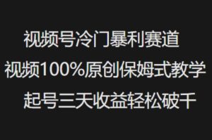 视频号冷门暴利赛道视频100%原创保姆式教学起号三天收益轻松破千-甬战资源库
