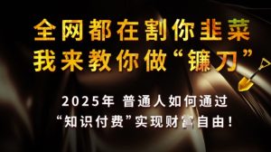 全网都在割你韭菜，我来教你做镰刀，2025普通人如何通过知识付费，实现财F自由【揭秘】-甬战资源库