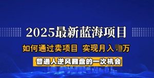 2025蓝海项目,普通人如何通过卖项目,实现月入过W,全过程【揭秘】-甬战资源库
